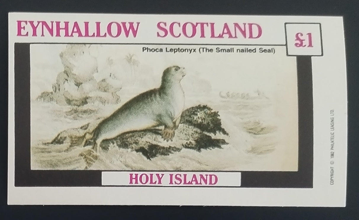Eynhallow 1982 Tuleni a mořská fauna