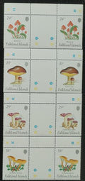 Falklandy 1987 Houby a polární flora, Mykologie v GUTTER PAIRS