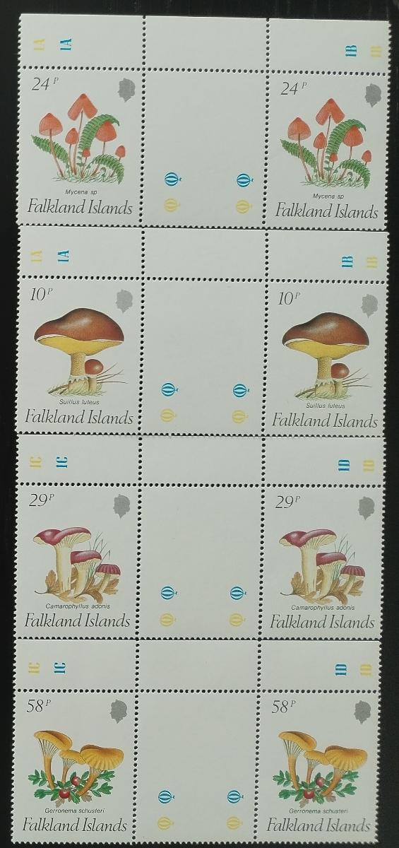 Falklandy 1987 Houby a polární flora, Mykologie v GUTTER PAIRS