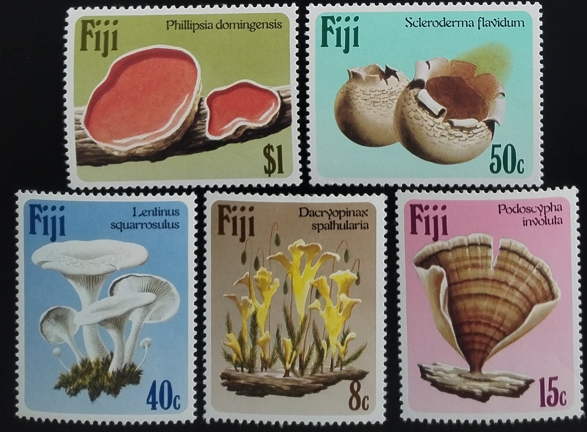 Fidži 1984 Houby a flora lesů