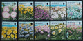Jersey 1995 Flora and Flowers