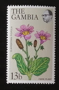 Gambie 1979 Mi.394 5€ Sólo známka, květiny