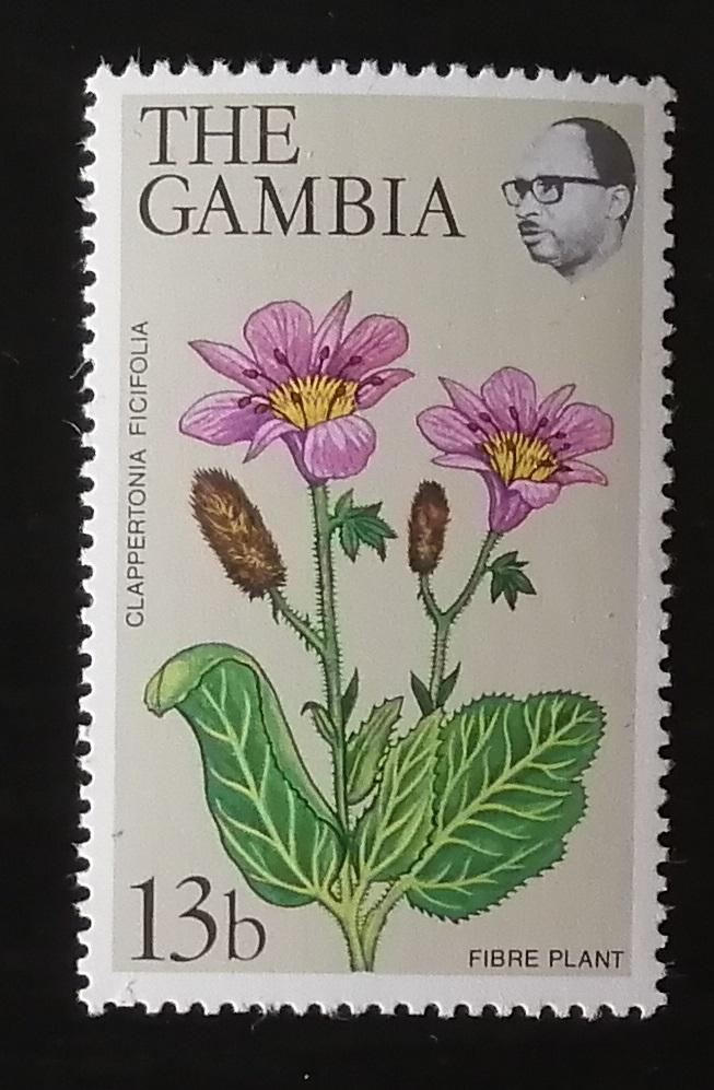 Gambie 1979 Mi.394 5€ Sólo známka, květiny