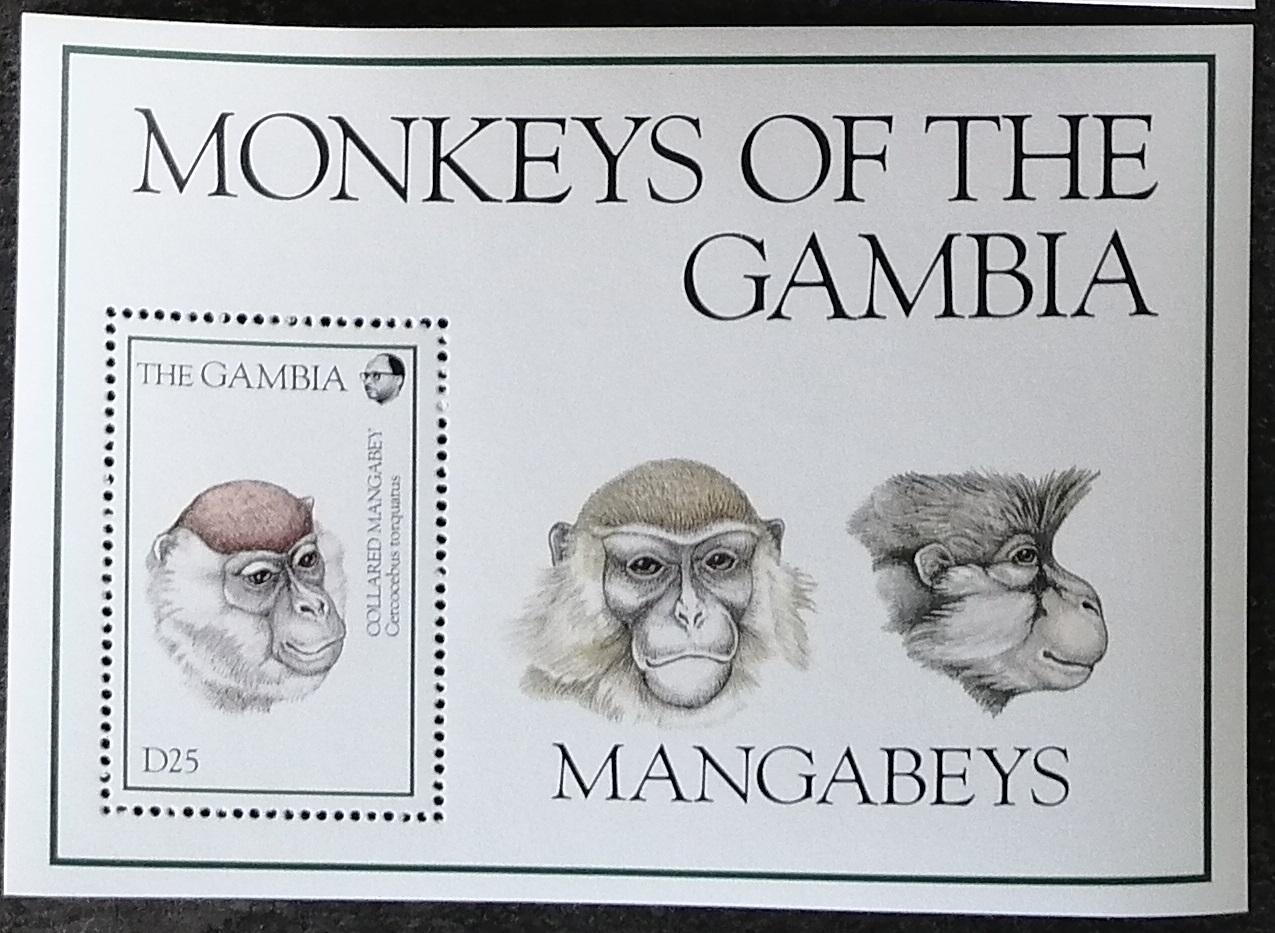Gambie 1994 Bl.229 11€ Fauna Západní Afriky, Opice a primáti