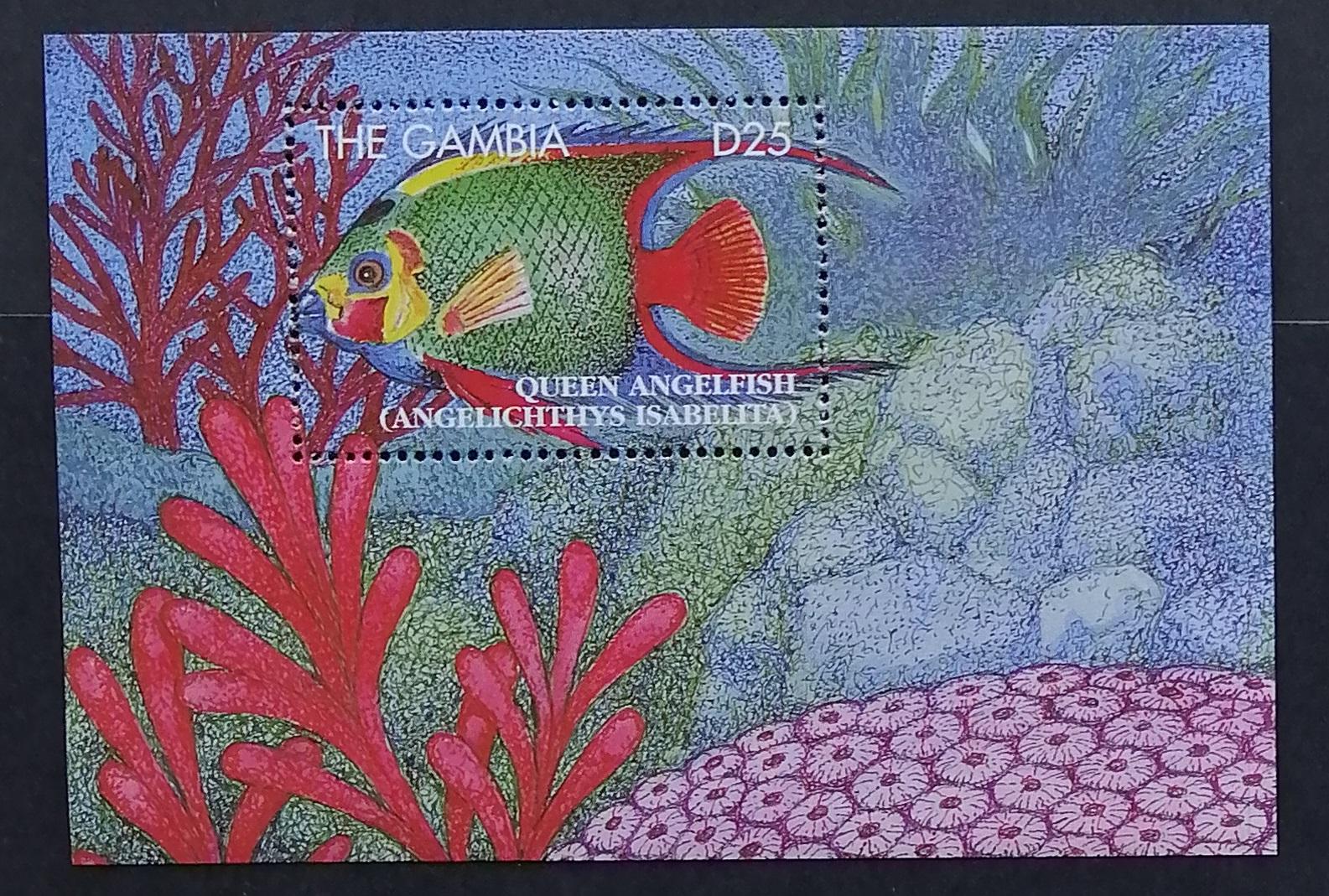 Gambie 1995 Bl.251 11€ Ryby afrických oceánů, fauna moří