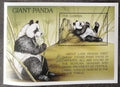 Gambie 1997 Bl.331 7,5€ Velcí medvědi - Panda