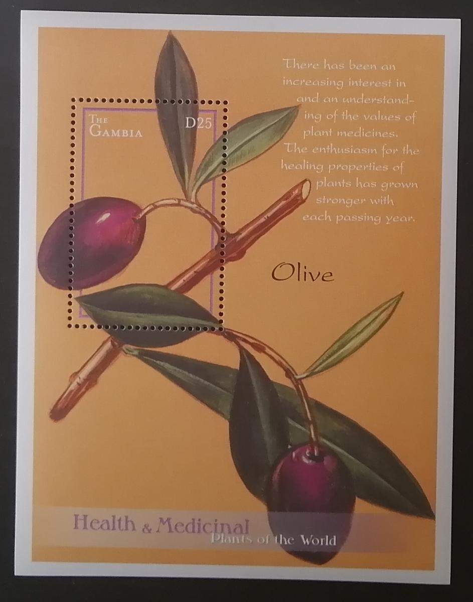 Gambie 2001 Bl.542 5,5€ Léčivé rostliny, olivovník, olivy a flora