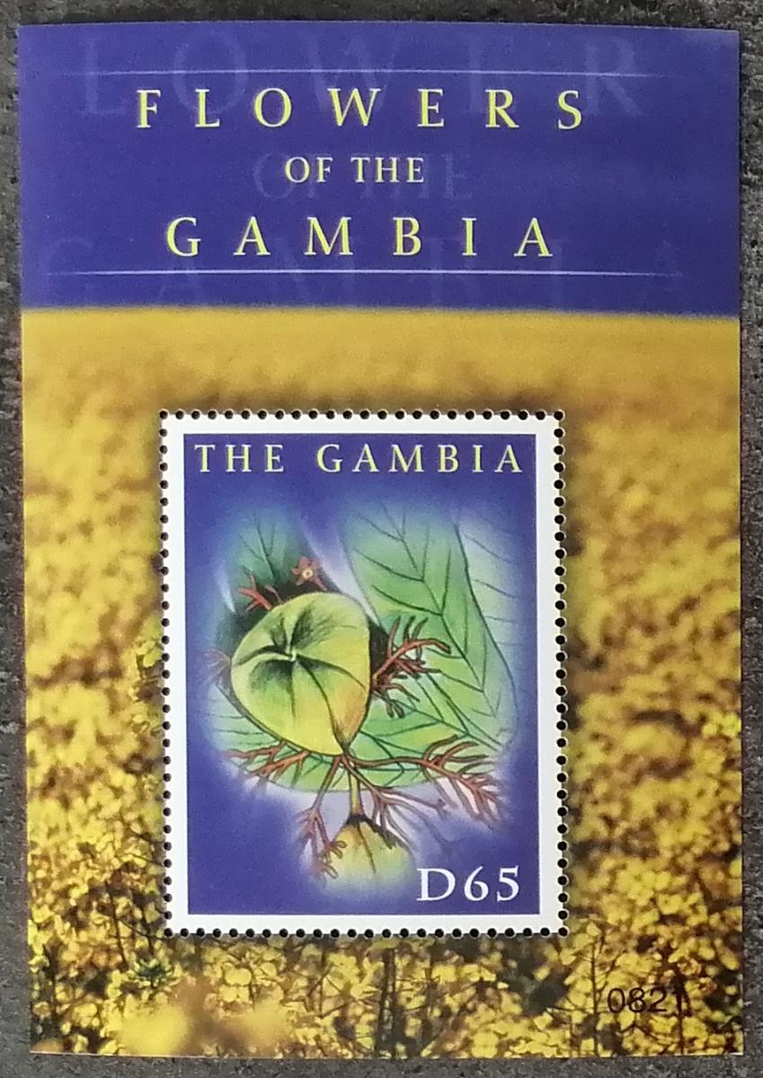 Gambie 2008 5€ Africké květiny a kvetoucí stromy, Tabebuia sp.