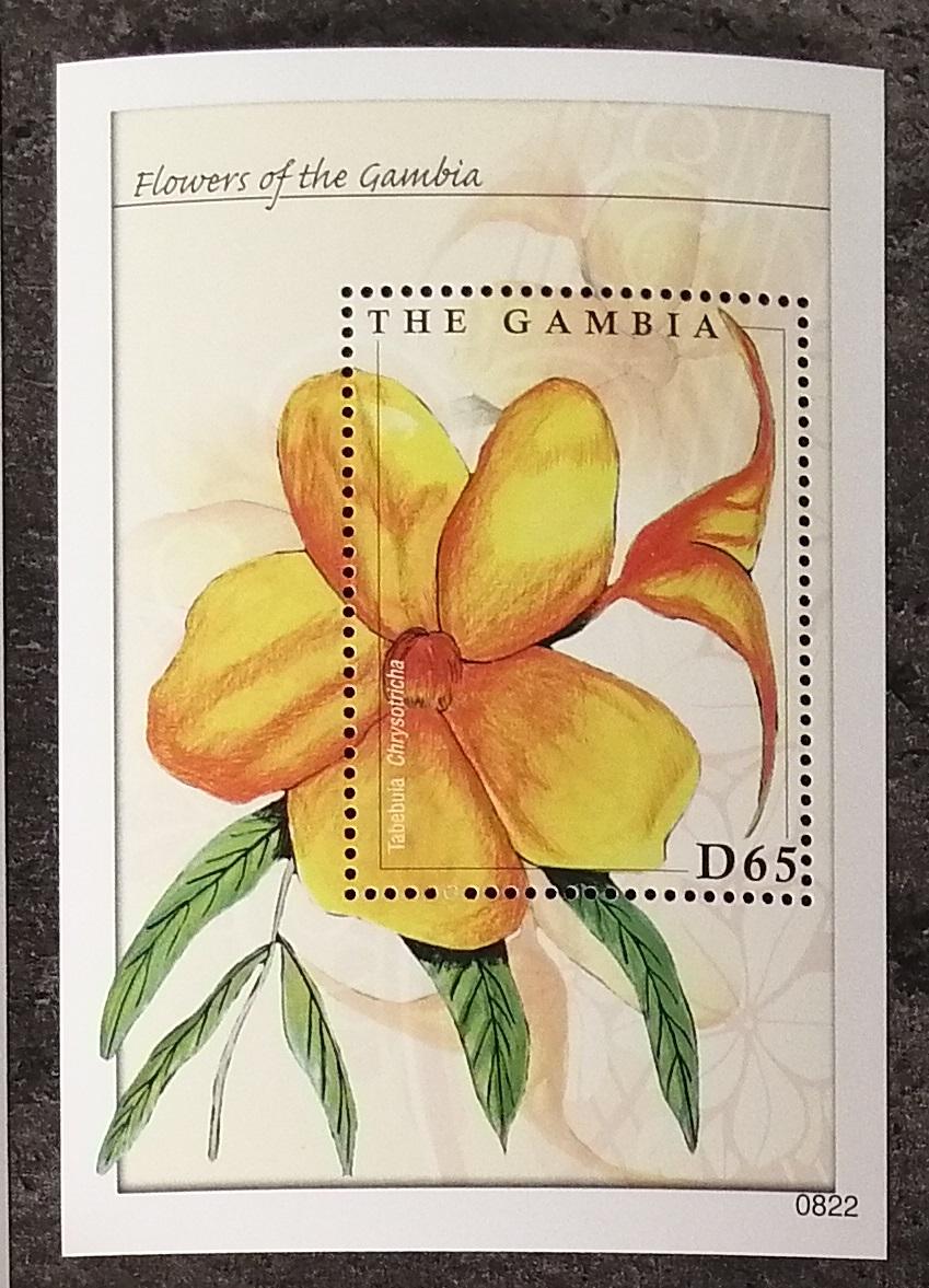 Gambie 2008 Bl.775 5€ Rostliny a květiny Gambie, Tabebuia chrysotricha
