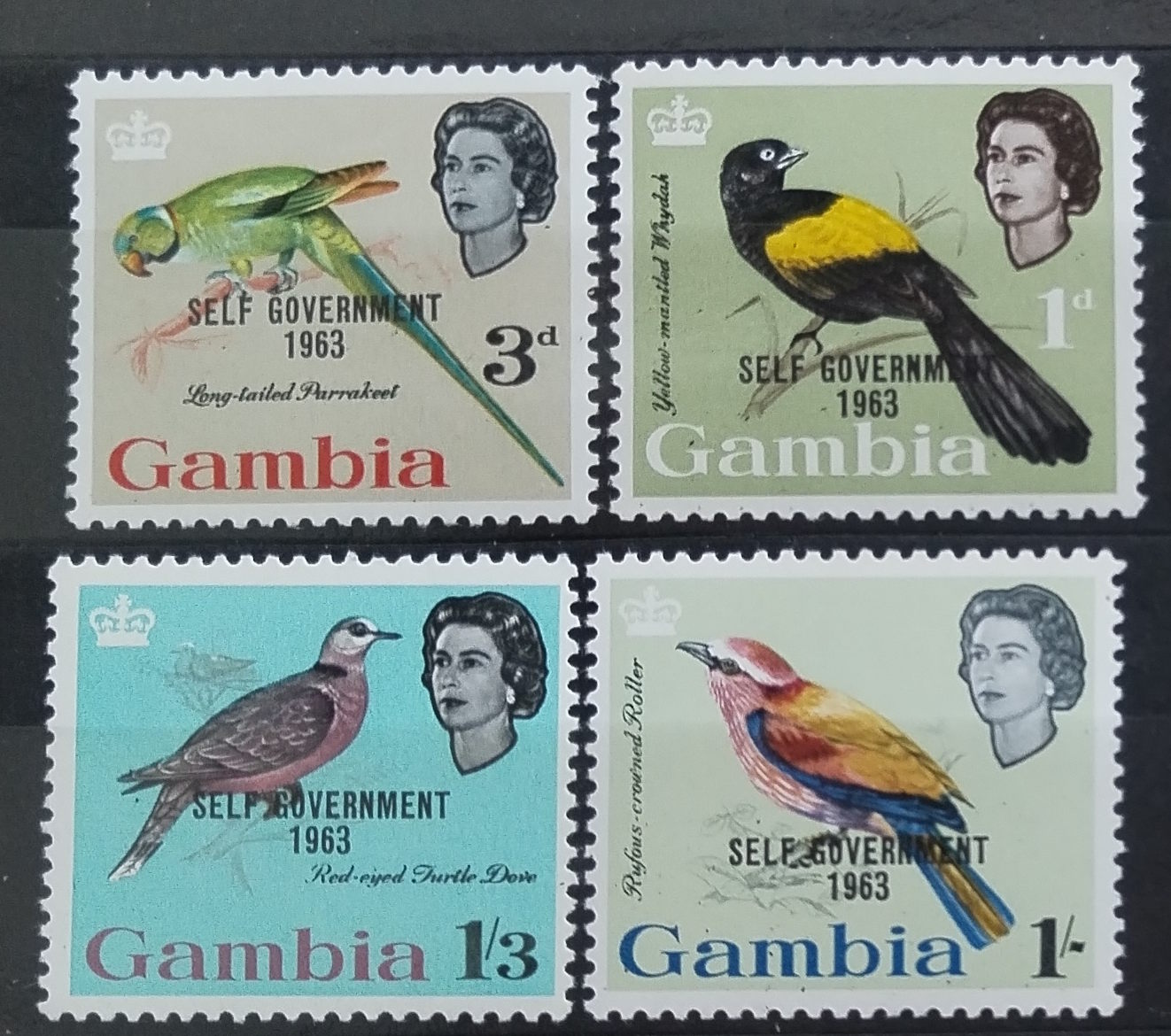 Gambie 1963 Nová ústava, Ptáci