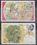 Gambie 1973 Zemědělství a flora, Bavlna