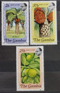 Gambie 1973 Zemědělství a flora, Palmy