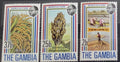 Gambie 1973 Zemědělství a flora, Rýže