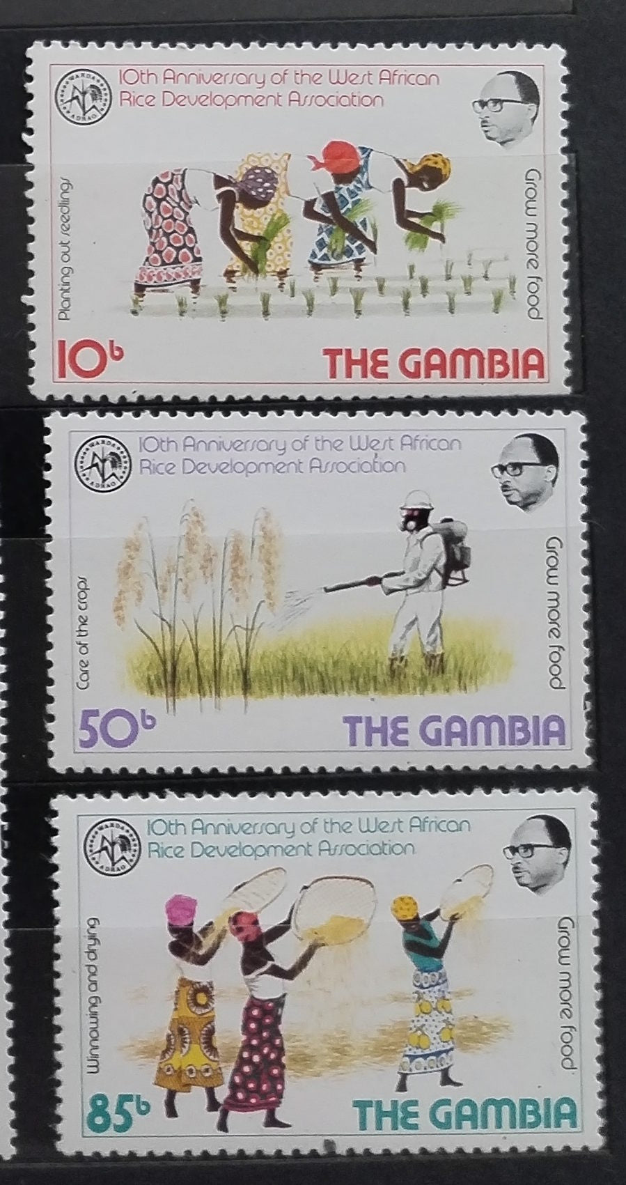 Gambie 1981 Pěstování rýže, Flora
