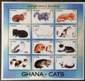Ghana 1994 11€ Kočky a jejich druhy, Norská lesní, Činčila