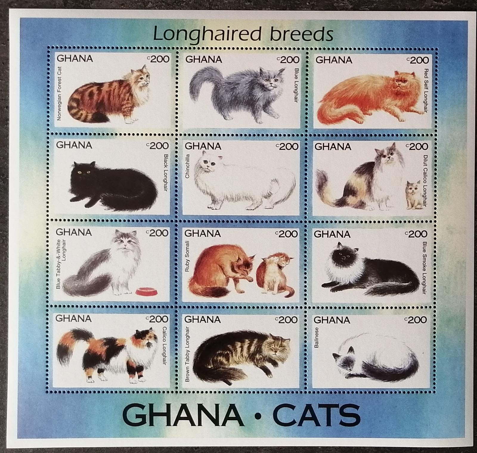 Ghana 1994 11€ Kočky a jejich druhy, Norská lesní, Činčila