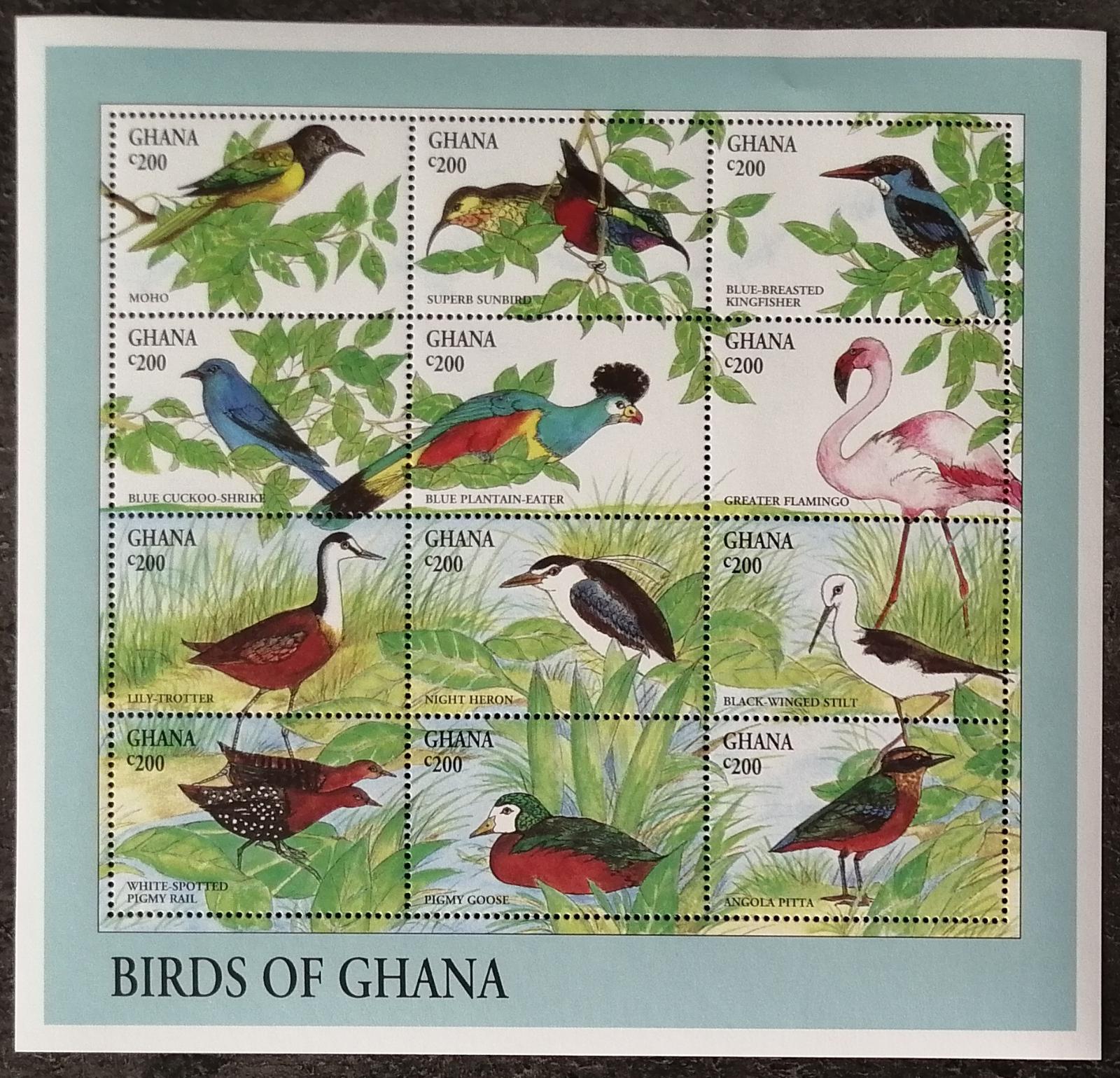 Ghana 2000 14€ Fauna Ghany, Ptáci a ptactvo země