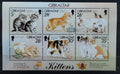 Gibraltar 1997 Kočky a koťata, Domácí fauna a mazlíčci