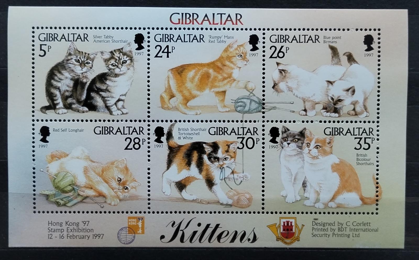Gibraltar 1997 Kočky a koťata, Domácí fauna a mazlíčci
