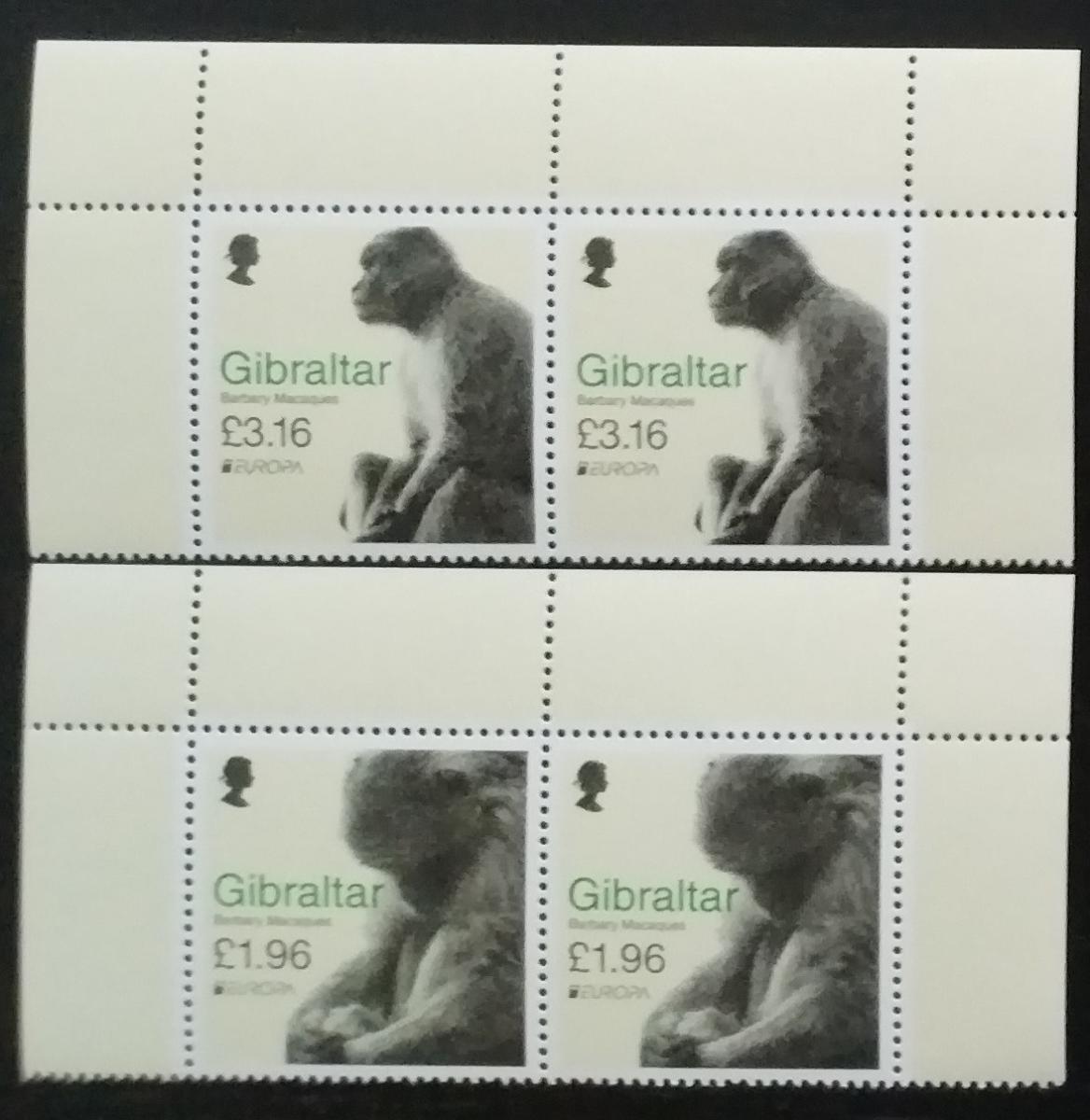 Gibraltar 2021 Berberské opice a primáti země za 55 % nominálu! PÁRY