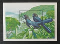 Grenada 1990 Bl.257 9€ Ptáci ostrova - Kukačka ani