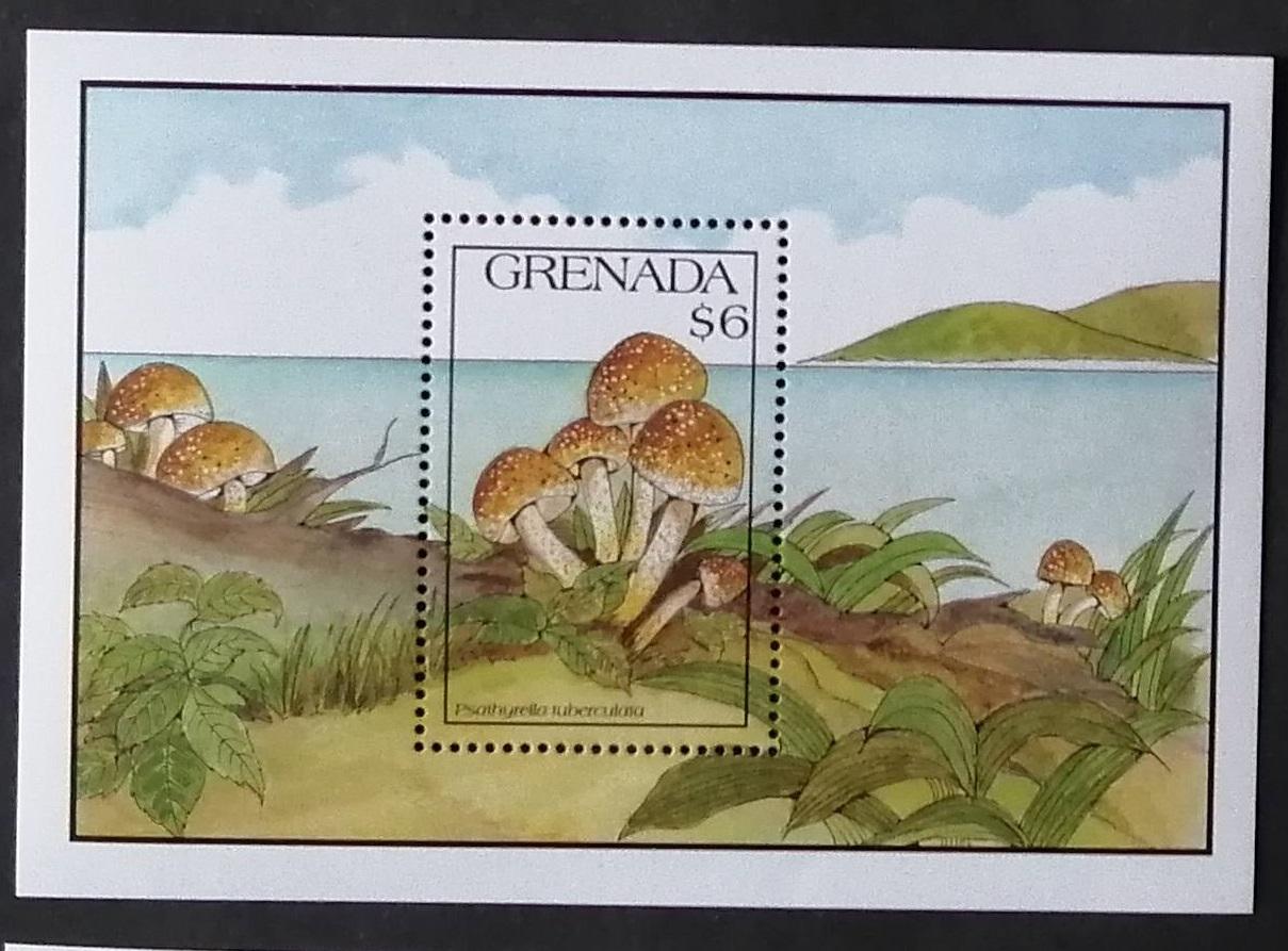 Grenada 1991 Bl.28 10€ Houby a flora, Psathyrella tuberculata