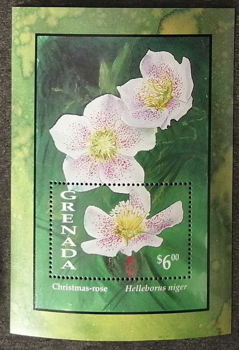 Grenada 1993 Bl.332 6€ Zahradní květiny - Helleborus sp.