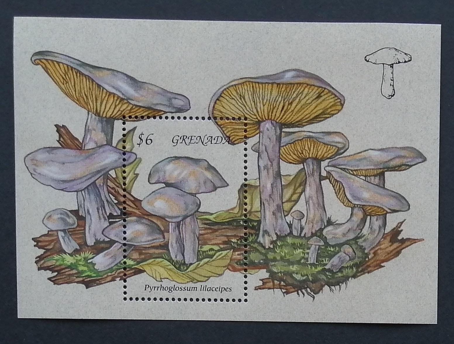 Grenada 1994 Bl.364 7,5€ Pyrrhoglossum, houby, flora