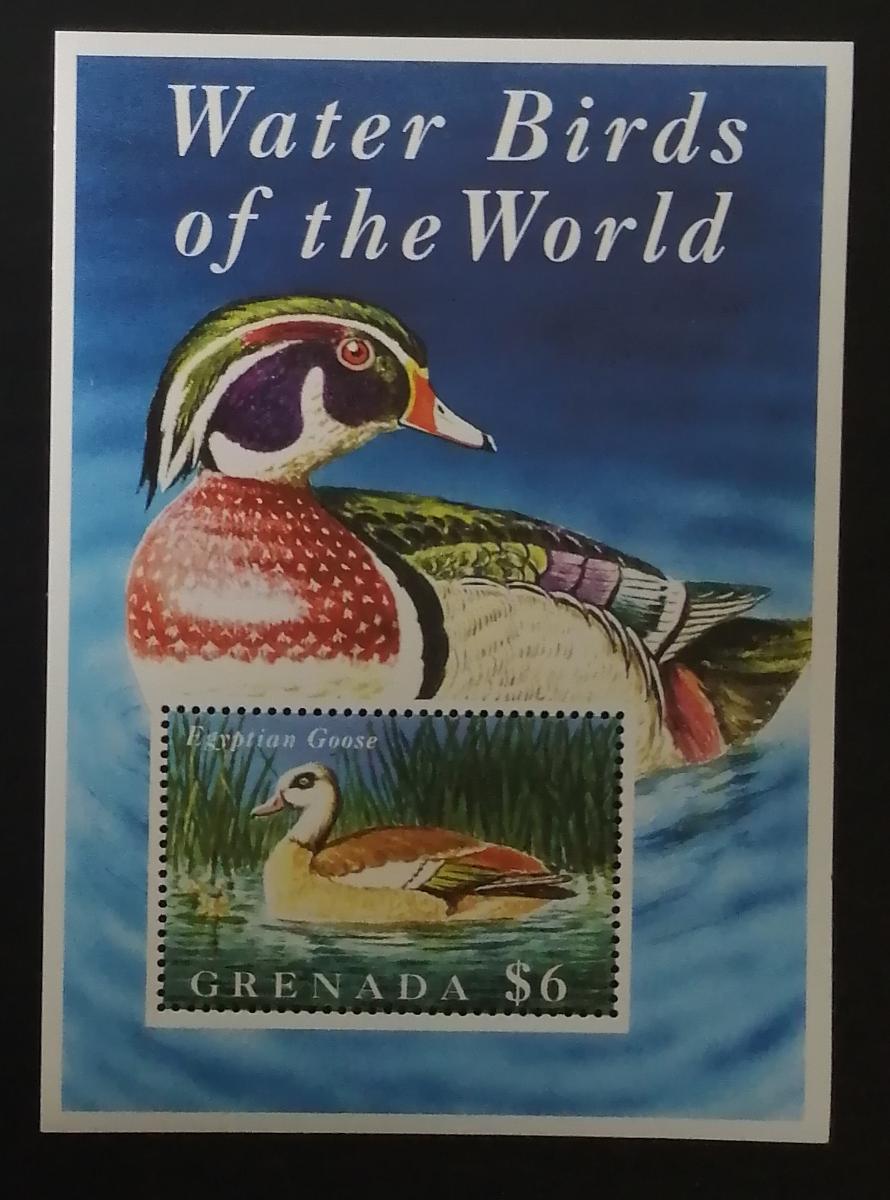 Grenada 1995 Bl.386 7€ Vodní ptáci a kachny - kachna egyptská