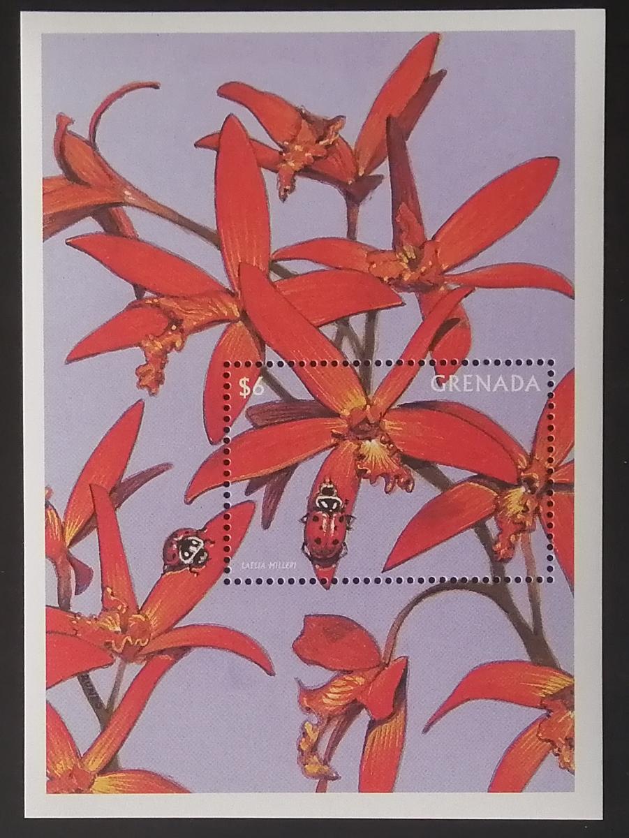 Grenada 1997 Bl.475 8€ Orchideje Karibiku, Laelia milleri
