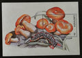 Grenada 1997 Bl.476 8€ Houby a flora lesů, Omphalotus illudens
