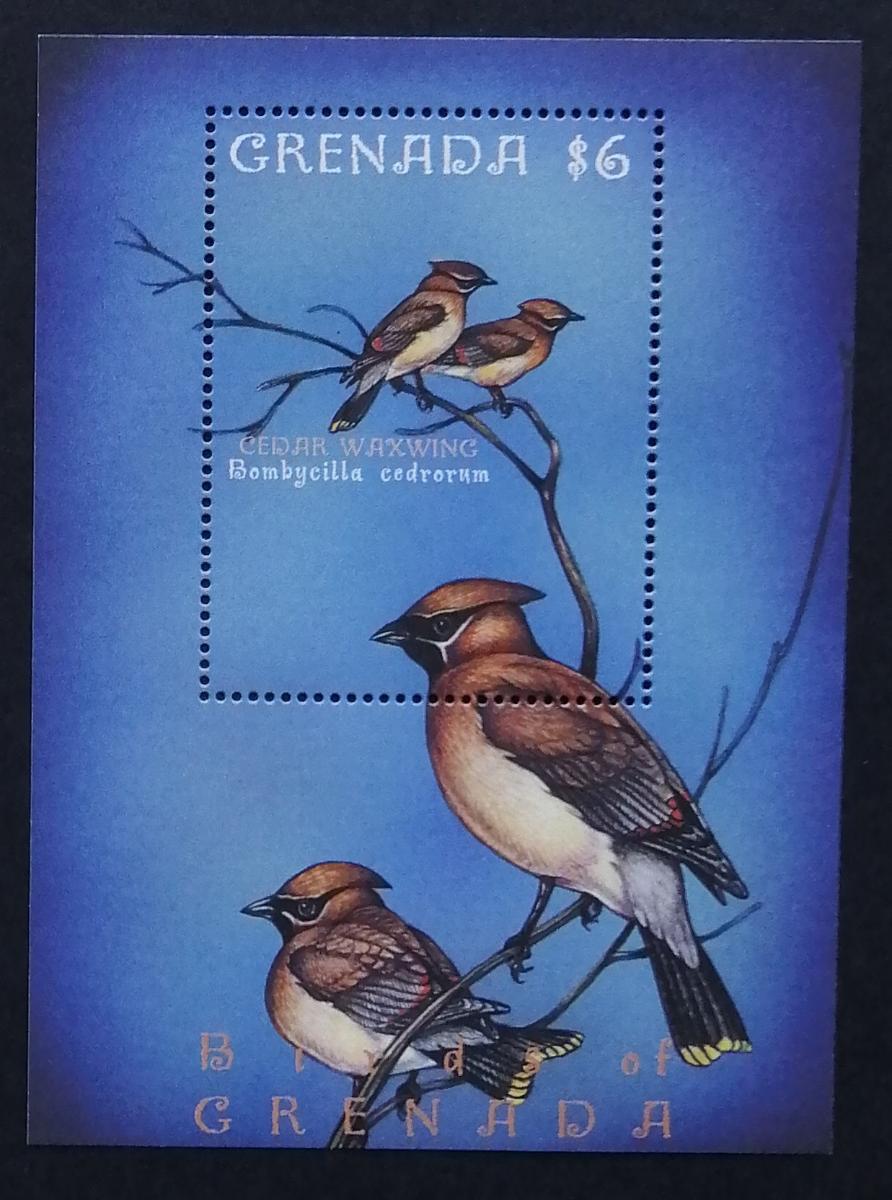 Grenada 2000 Bl.541 6,5€ Brkoslav severní, ptáci ostrova, fauna