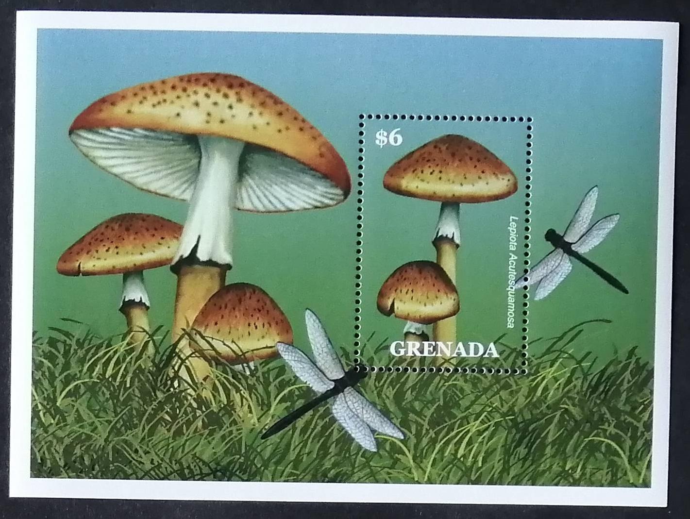 Grenada 2000 Bl.542 6,5€ Houby a flora, Lepiota acutesquamosa