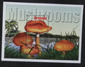 Grenada 2002 Bl.686 6€ Houby a flora světa, Lepiota acutesquamosa