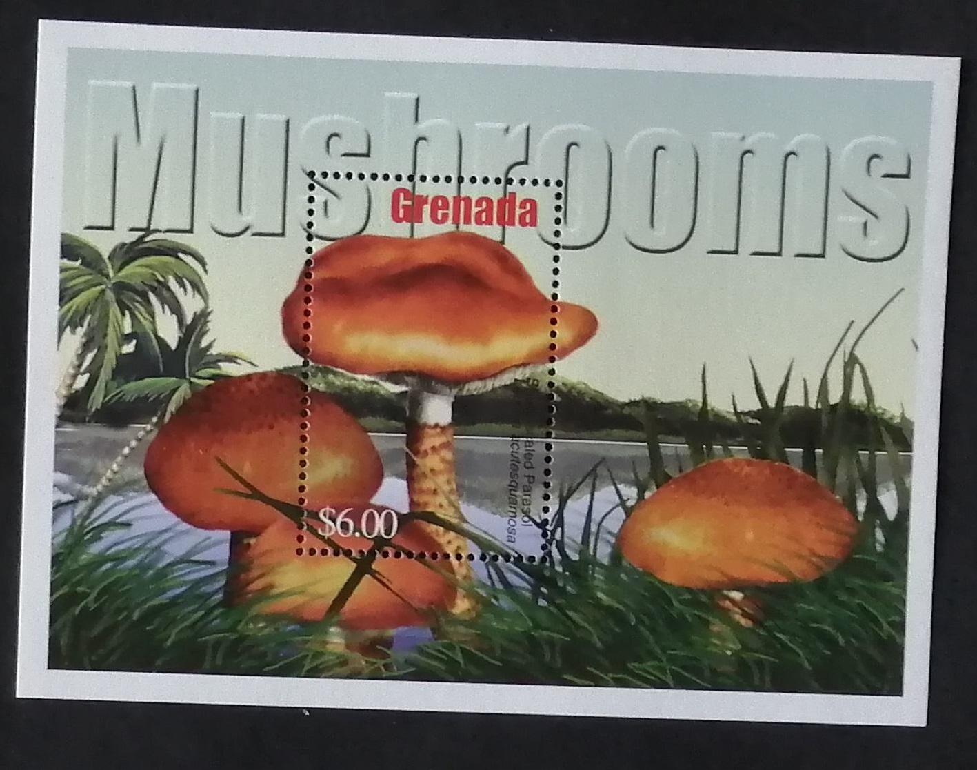 Grenada 2002 Bl.686 6€ Houby a flora světa, Lepiota acutesquamosa