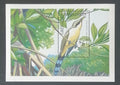 Grenadiny & Grenada 1990 Bl.199 6,5€ Ptáci ostrovů - Kukačka mangrove