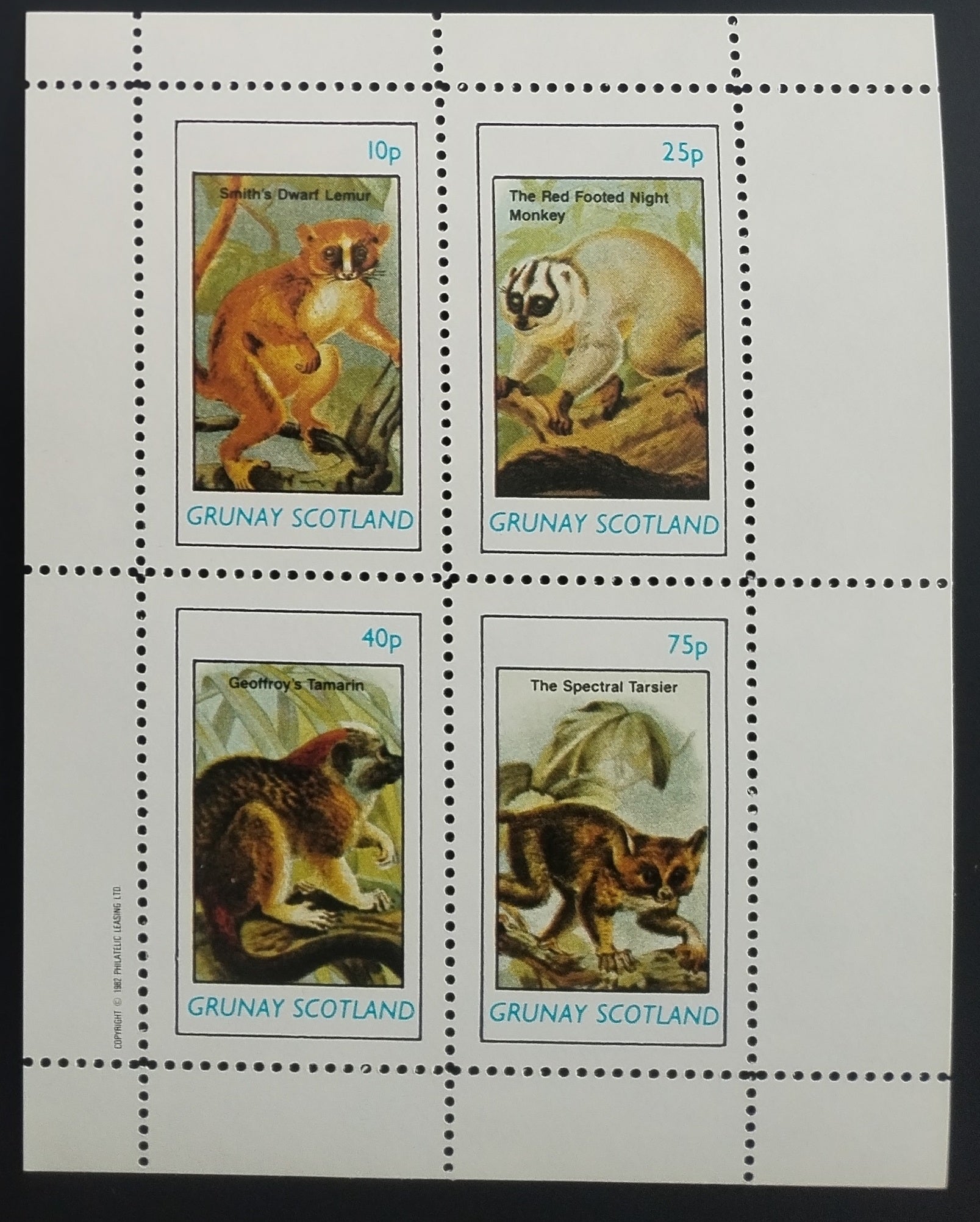 Grunay 1982 Opice a fauna tropů