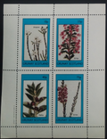 Grunay 1982 Květiny a flora