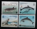 Guernsey 1990 Ochrana přírody, Delfíni a žraloci, Ryby
