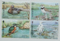 Guernsey 2001 6,5€ Ochrana přírody a ptáci