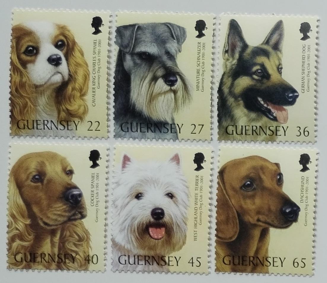 Guernsey 2001 9€ Výročí Dog Society, Psi na ostrově