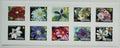 Guernsey 2004 16,5€ Písmenkové známky - Ostrovní květiny a flora