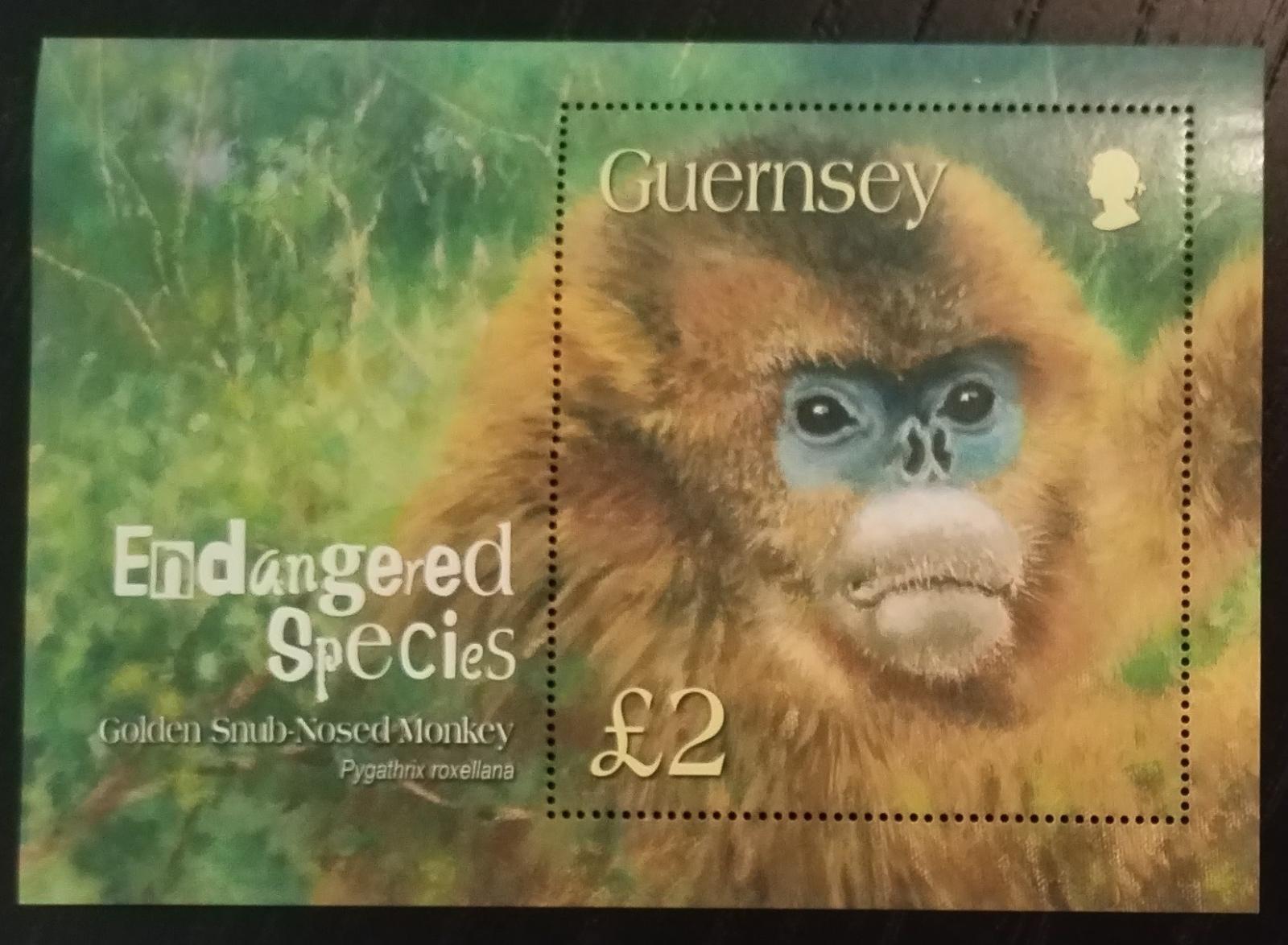 Guernsey 2004 7€ Ohrožené druhy - Opice a primáti