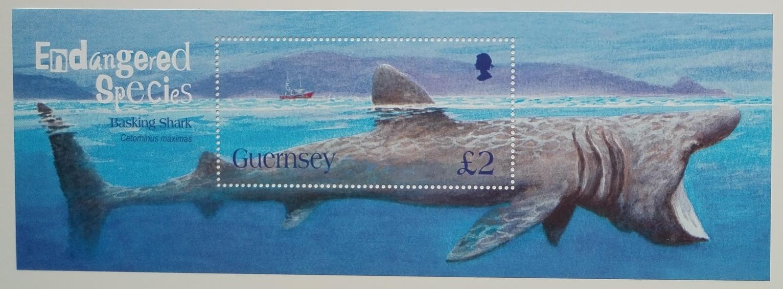 Guernsey 2005 7€ Ohrožené druhy - žraloci a ryby