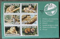 Guinea 1998 23€ Fauna země, Ocelot, Leopard a kočky, Savci, Puma