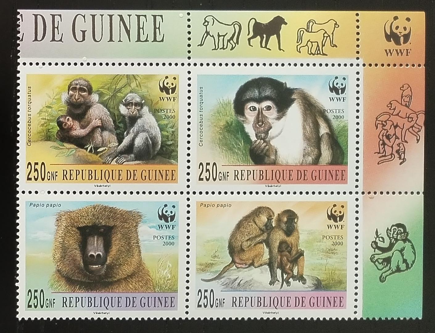 Guinea 2000 Opice a opičky, WWF a ochrana přírody