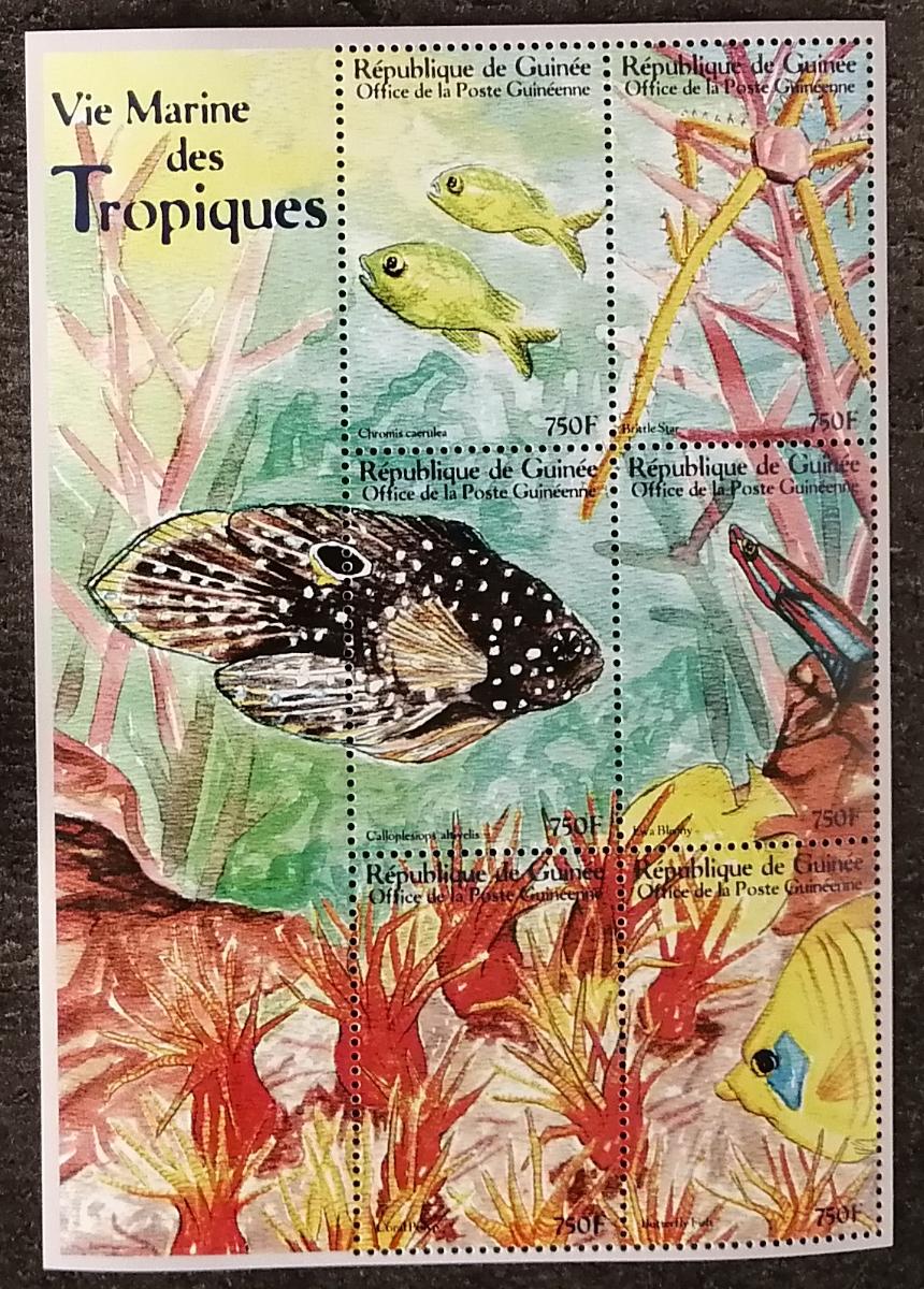 Guinea 2001 20€ Mořská fauna tropických moří, Korálové ryby