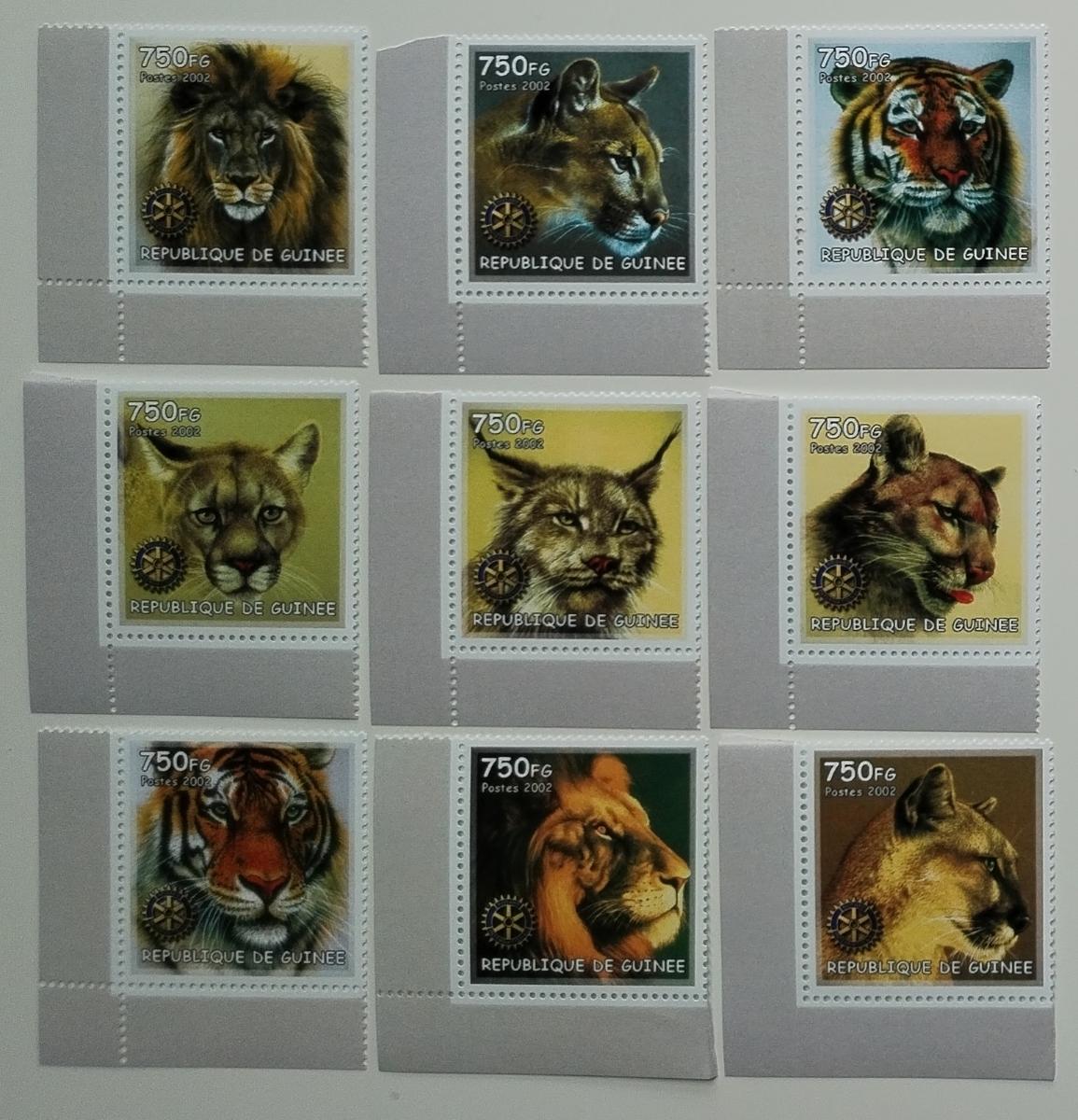 Guinea 2002 Fauna Afriky: Lvi, Tygři a velké dravé kočky