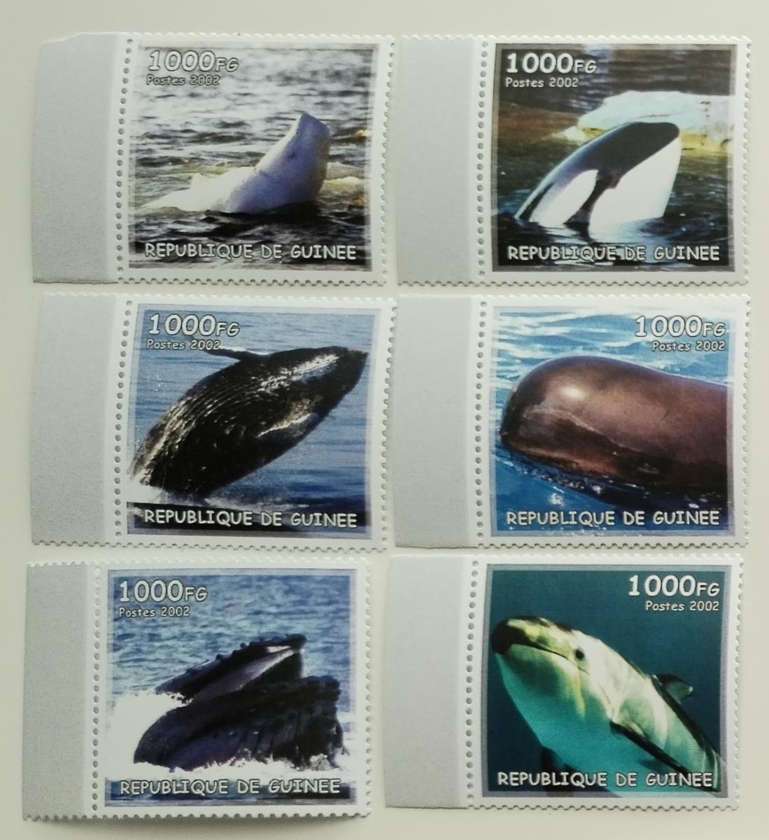 Guinea 2002 Velryby a ryby afrických oceánů