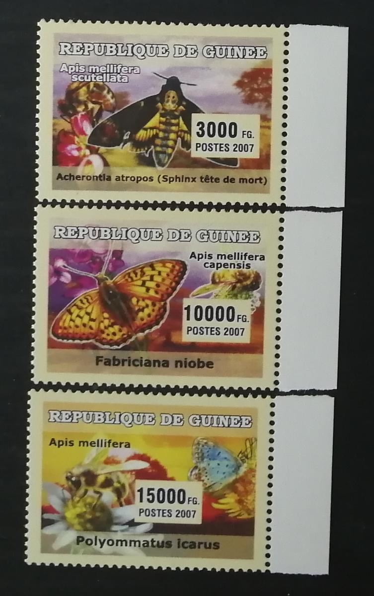 Guinea 2007 Mi.4704-6 7,5€ Africký hmyz a motýli, můry, včely